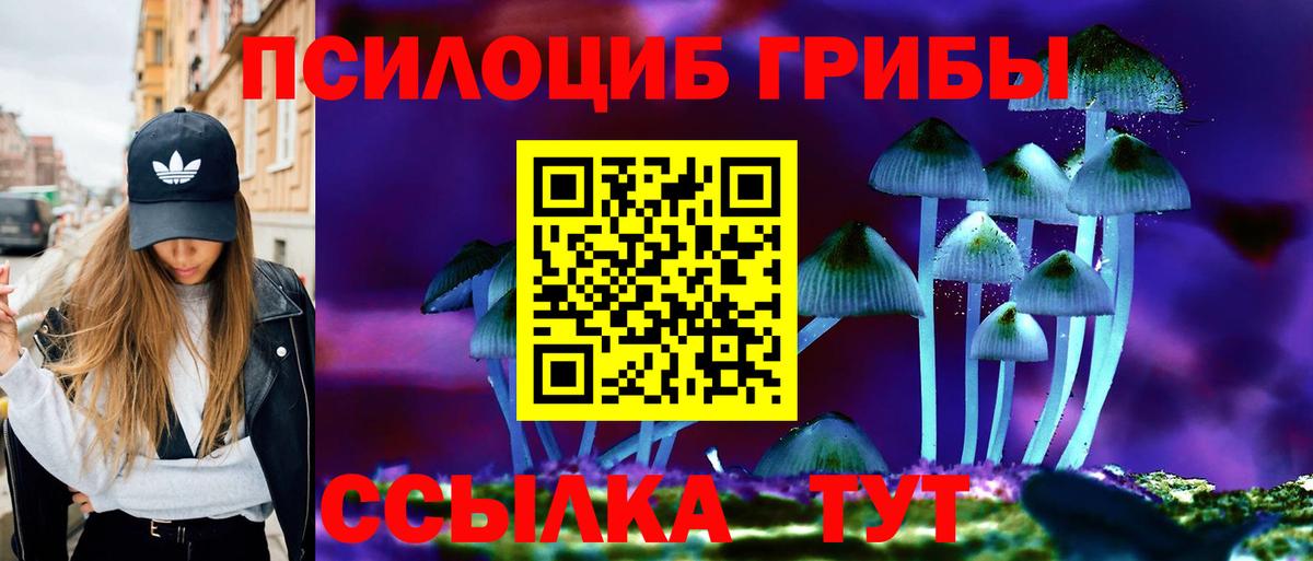 Галлюциногенные грибы Magic Shrooms  Вход с VPN  Туапсе 
